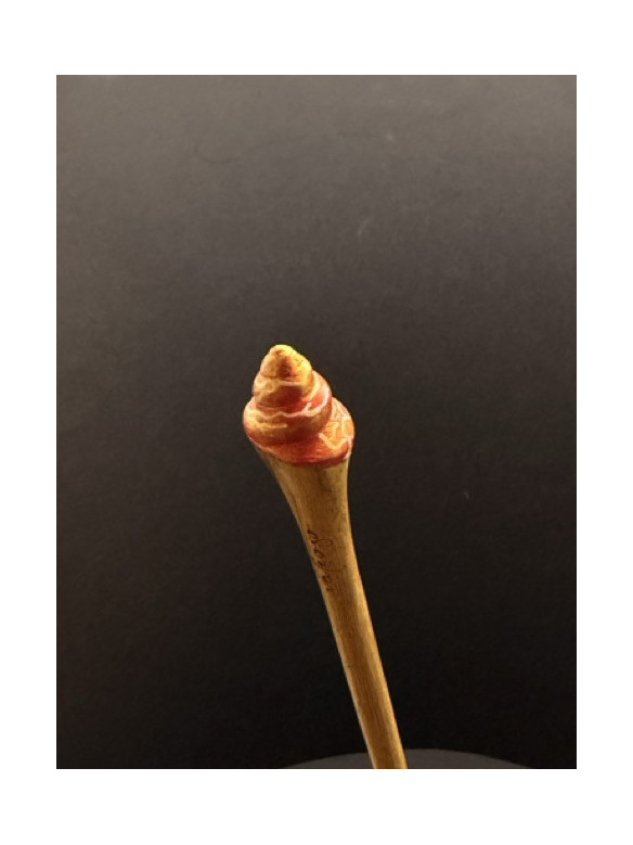 BASTONCINI CAPELLI CONCHIGLIA